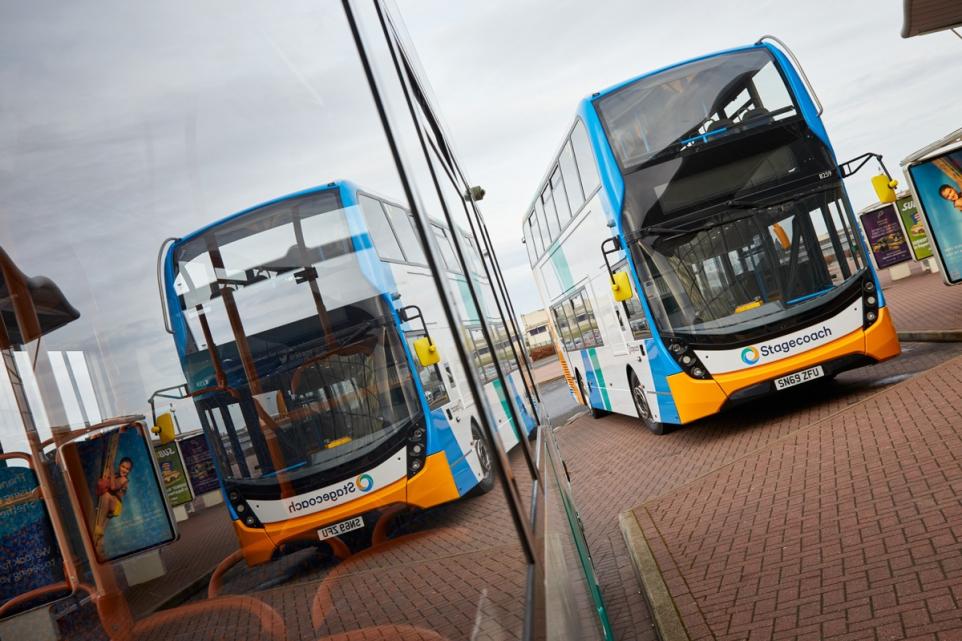 buses