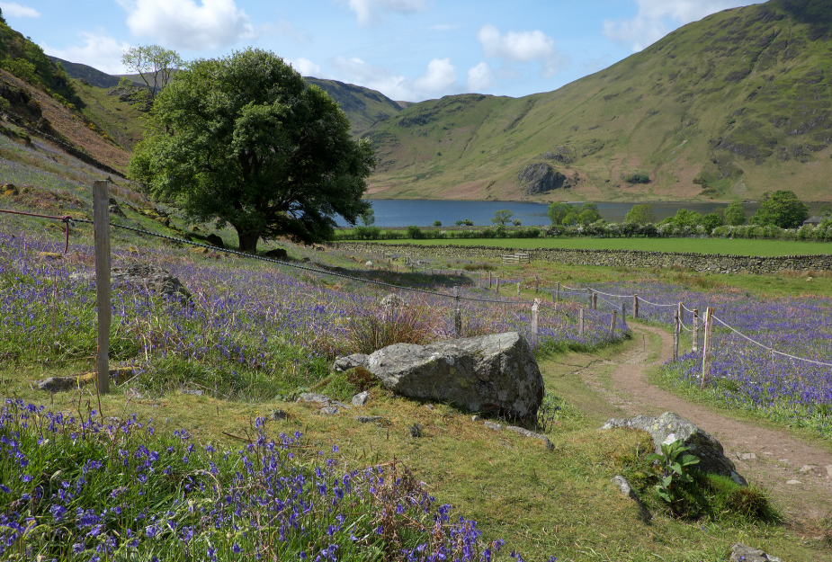 Best walks in Cumbria & The Lakes 