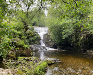 Aira Force