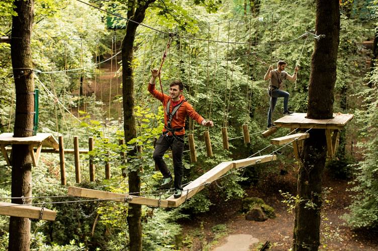 Treetop adventures