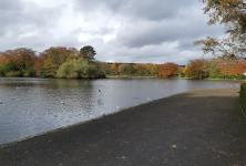 Beveridge Park