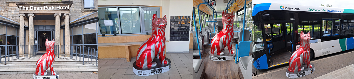 Sweetie the roaming cat at the Dean Park Hotel, Kirkcaldy bus station and on a bus