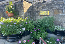 Bustanic Gardens