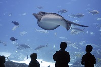 Aquarium