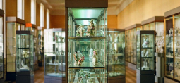 glass museum display cabinet