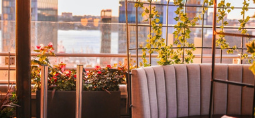 a rooftop bar