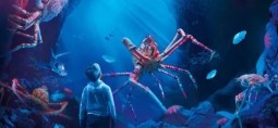 image of Sealife Centre