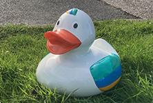 Chester Duck Race 2023