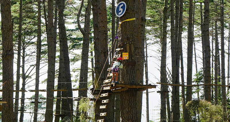 Girl climbing trees at outdoor activity park 