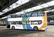 Mosaic livery