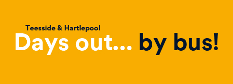 get around by bus