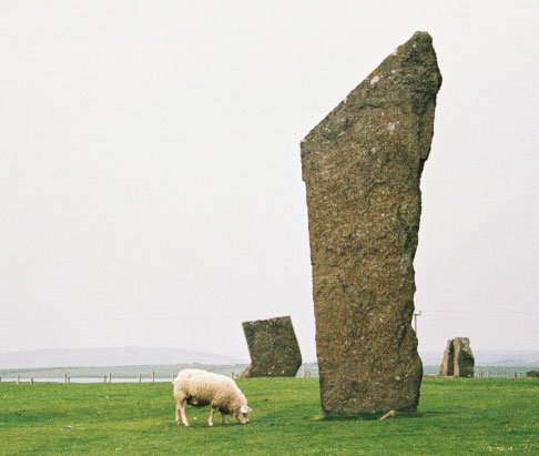sheep near tall stone with grey sky