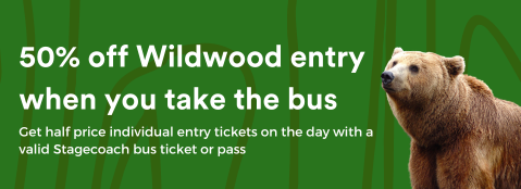 Get half off Wildwood entry when you travel by bus