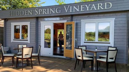 Hidden Spring Vineyard route 51