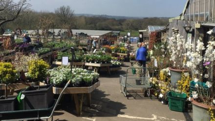 Sussex Country Gardener route 51