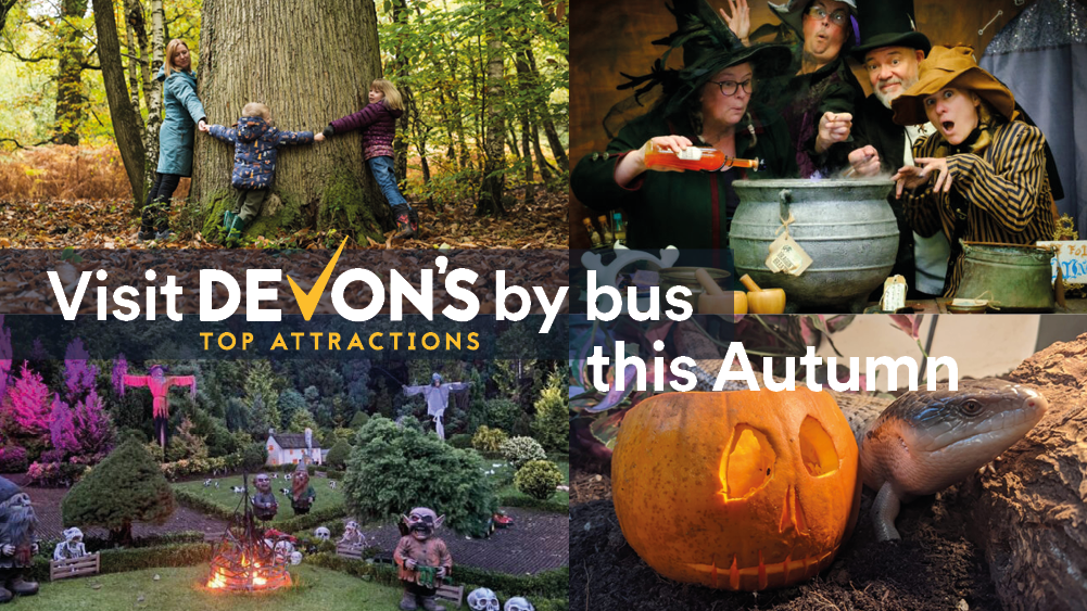 Autumn by Bus