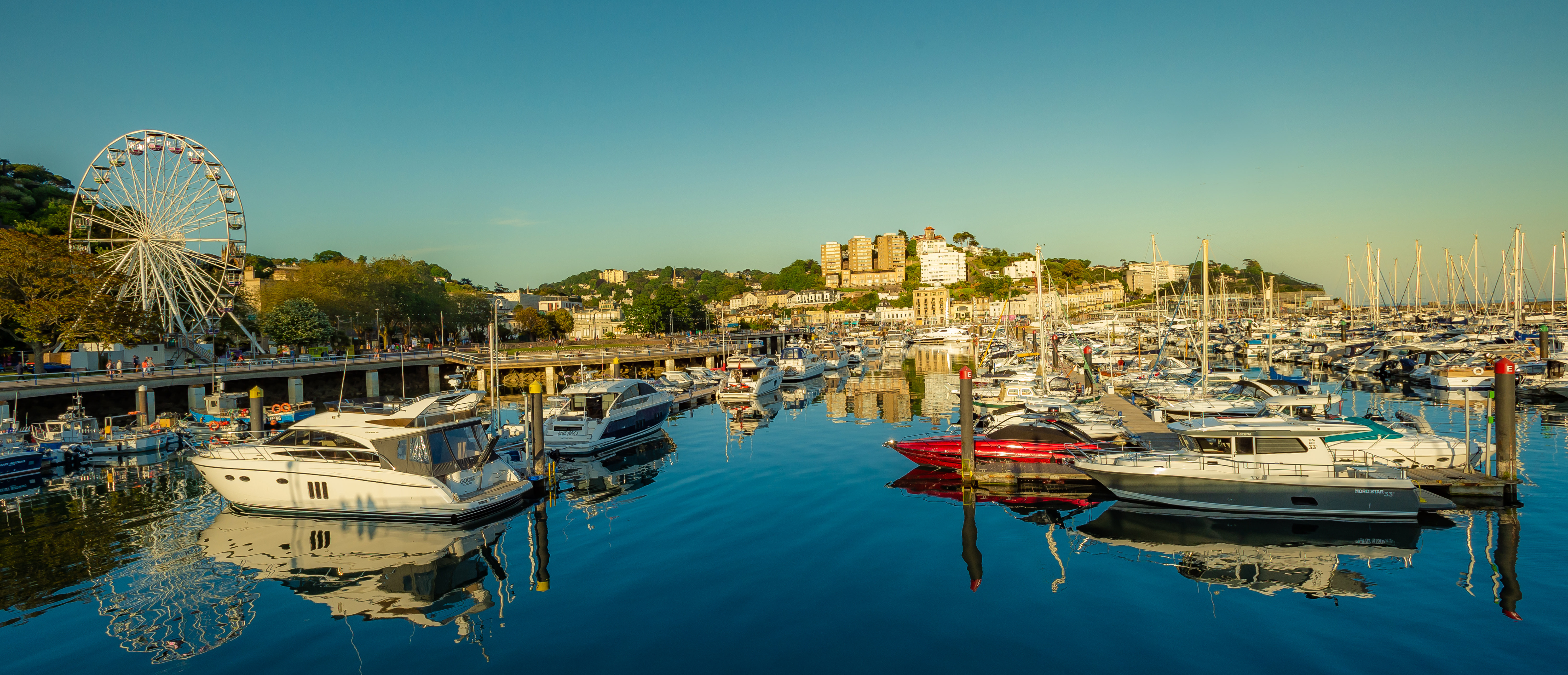 Torbay Day Trip