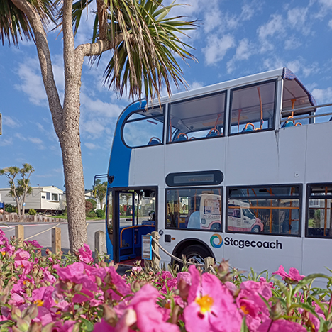 Open Top Bus Tours