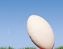 Buses to the Rugby