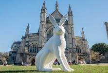 Hares of Hampshire