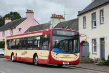 Western Livery