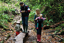 A photograph of a family with two children taking a walk in the Forest of Dean.