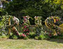 Image of the flower show