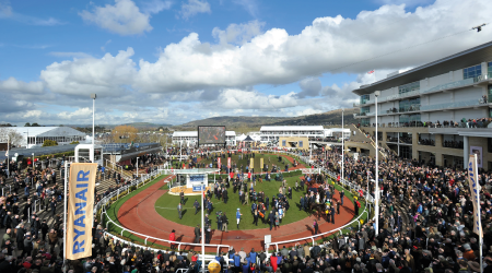 CheltenhamRaces